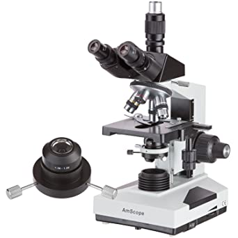 5 Best Microscopes for College & High School Students