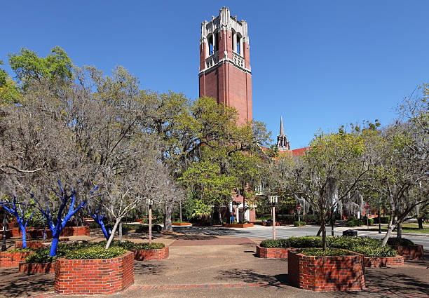 How Hard is it to Transfer to University Of Florida