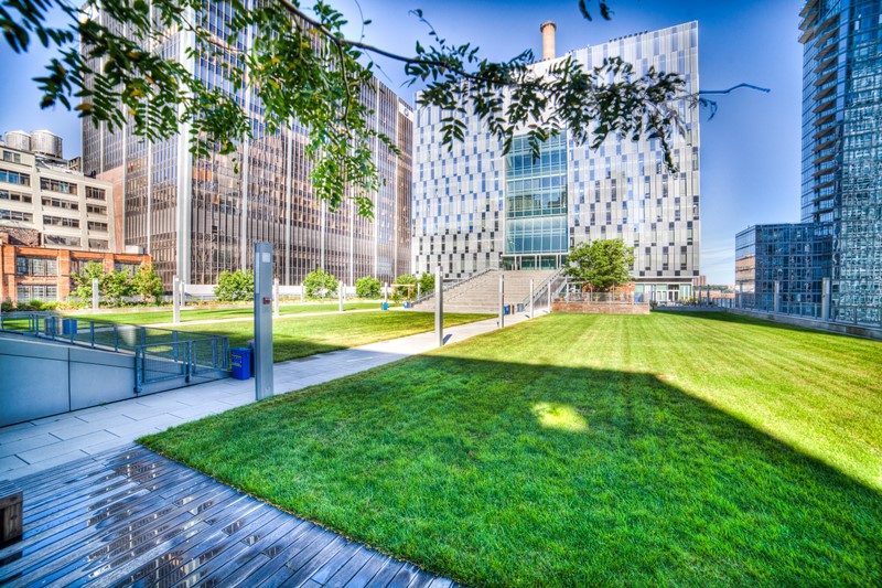 Best Forensic Psychology Degrees In The USA 2021