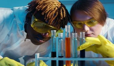 Why You Should Consider A Career In Chemistry