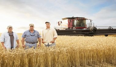 Why You Should Consider A Career In Agriculture