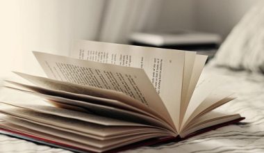 Best Grammar Book For Grad Students