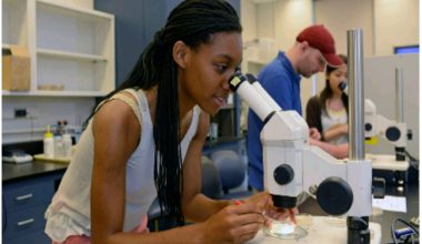 Courses to study as a science student in Nigeria
