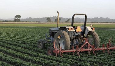 Private Universities Offering Agricultural Engineering In Nigeria