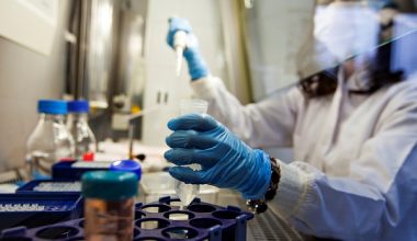 Who Is A Research Assistant