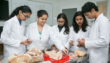 How To Study Medicine In Georgia